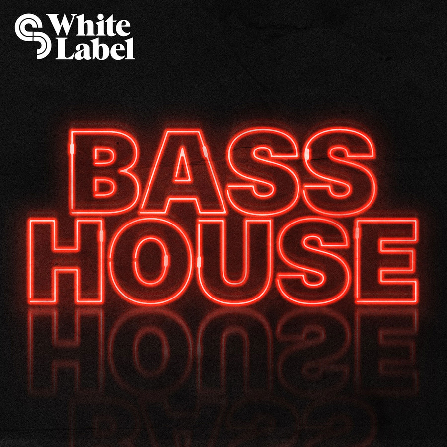 Bass house 2024. Bass House. Bass House обложка. G House обложки. Басс Мьюзик.